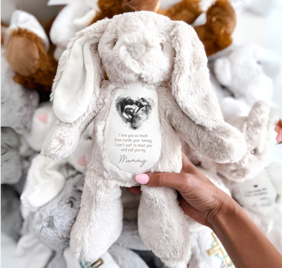 Scan Teddies